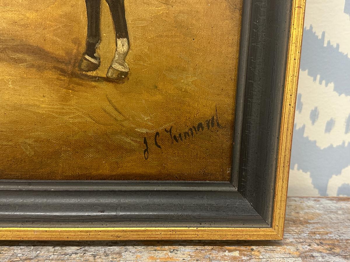 Portrait of a Horse in Stable, Oil on Canvas, Signed Lower Right