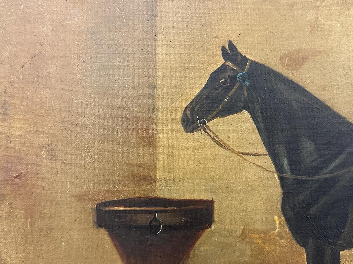 Portrait of a Horse in Stable, Oil on Canvas, Signed Lower Right