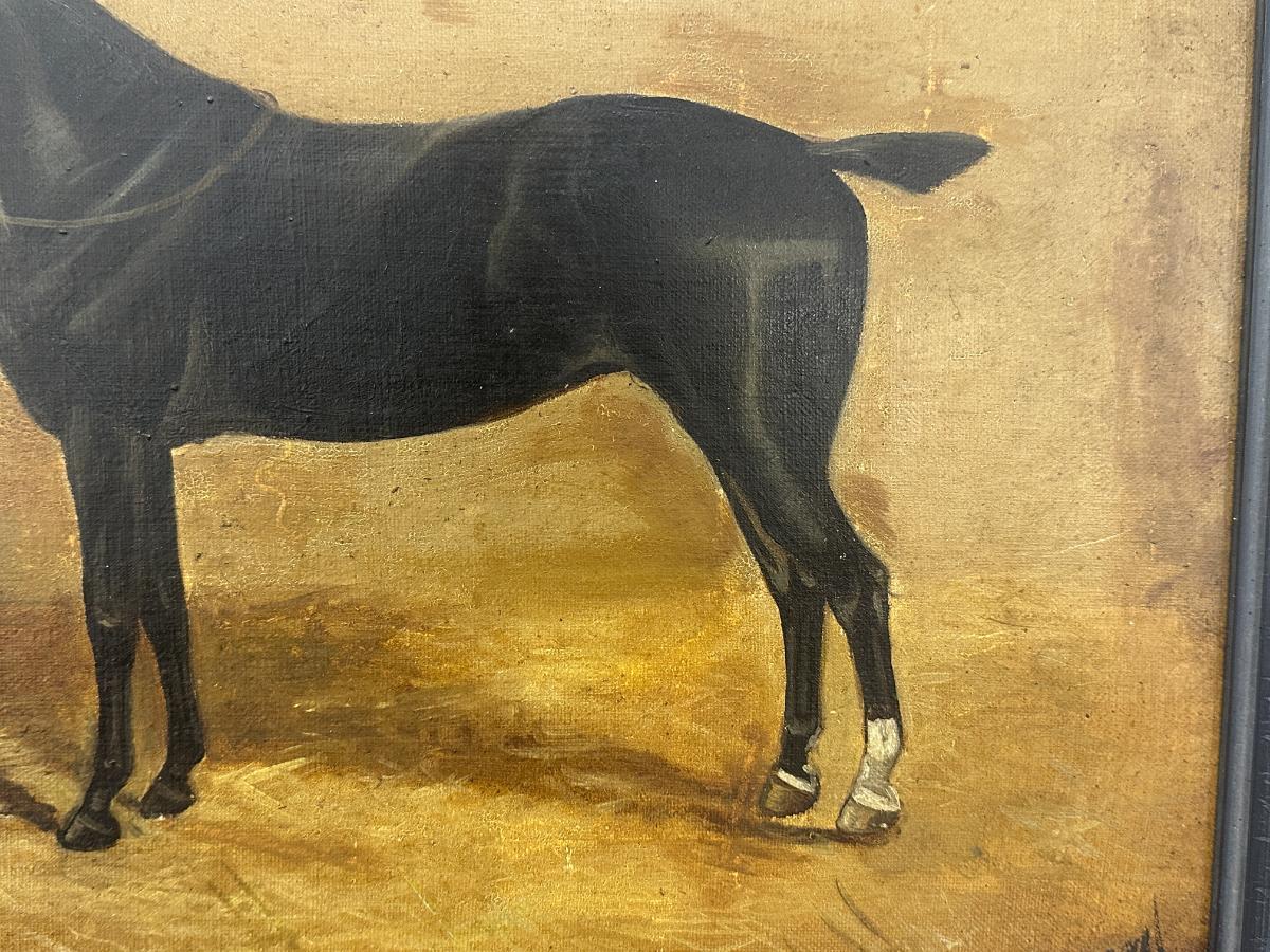 Portrait of a Horse in Stable, Oil on Canvas, Signed Lower Right