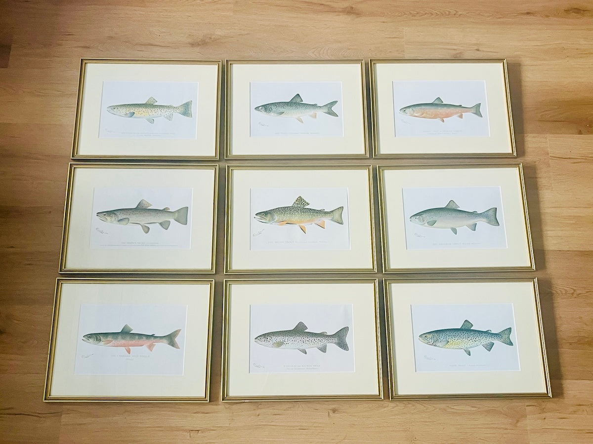 Framed SF Denton Chromolithographs, Set of 9