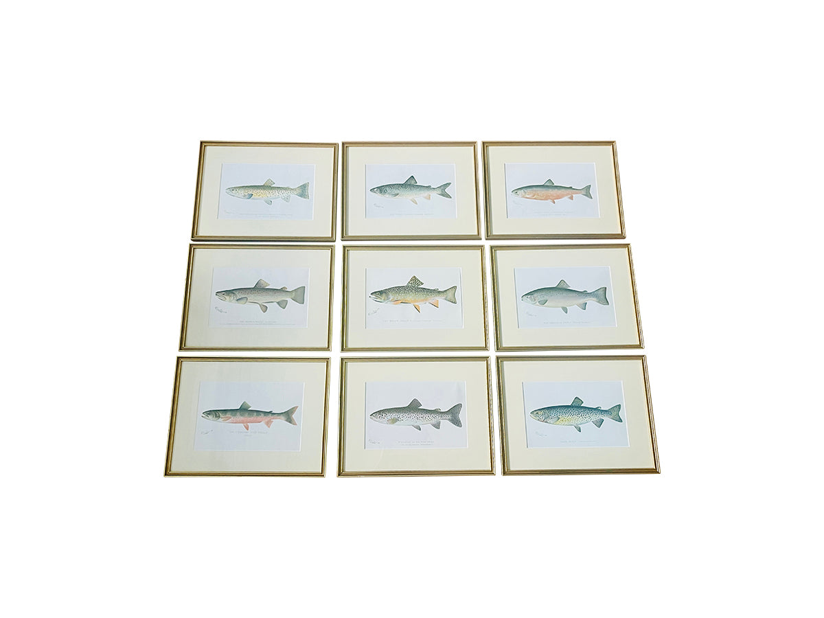 Framed SF Denton Chromolithographs, Set of 9