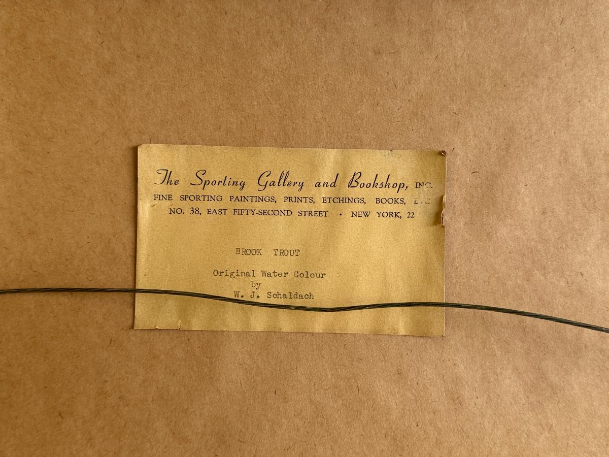 Framed "Brook Trout" Original Watercolor by WJ Schaldach