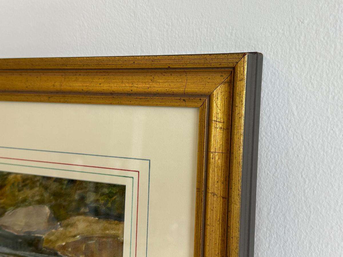 Framed "Brook Trout" Original Watercolor by WJ Schaldach