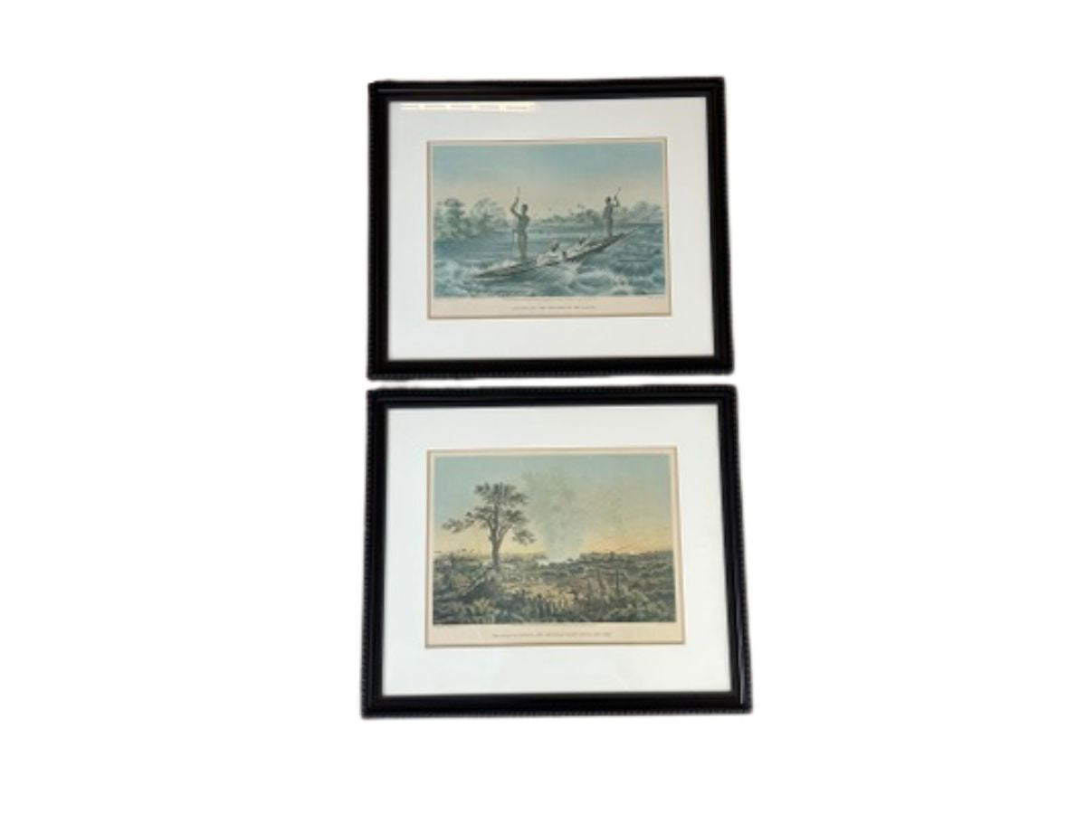 Framed Thomas Baines Lithographs, Pair