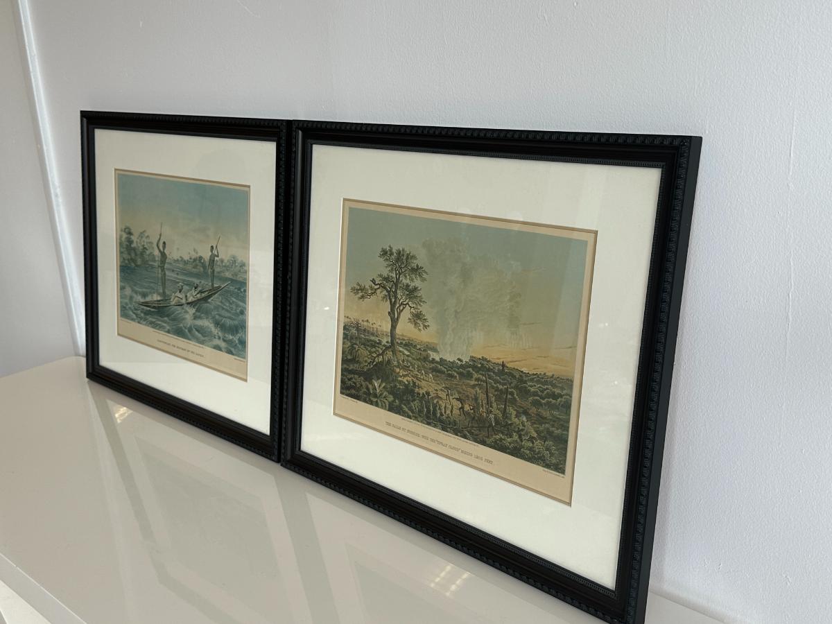 Framed Thomas Baines Lithographs, Pair