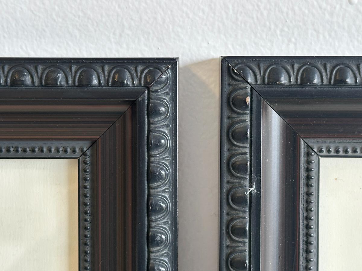 Framed Thomas Baines Lithographs, Pair