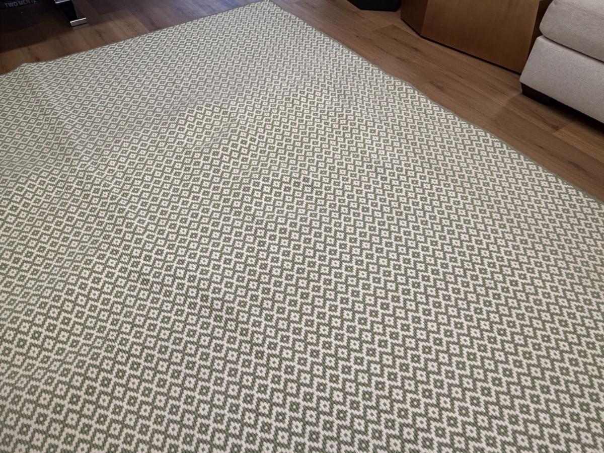 9′5 x 11 Green & White Wool Rug