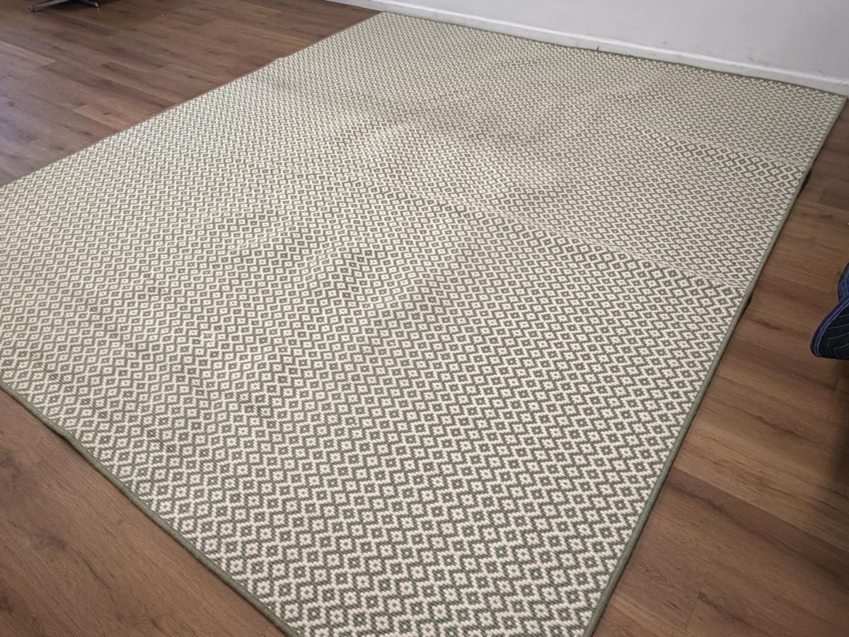 9′5 x 11 Green & White Wool Rug