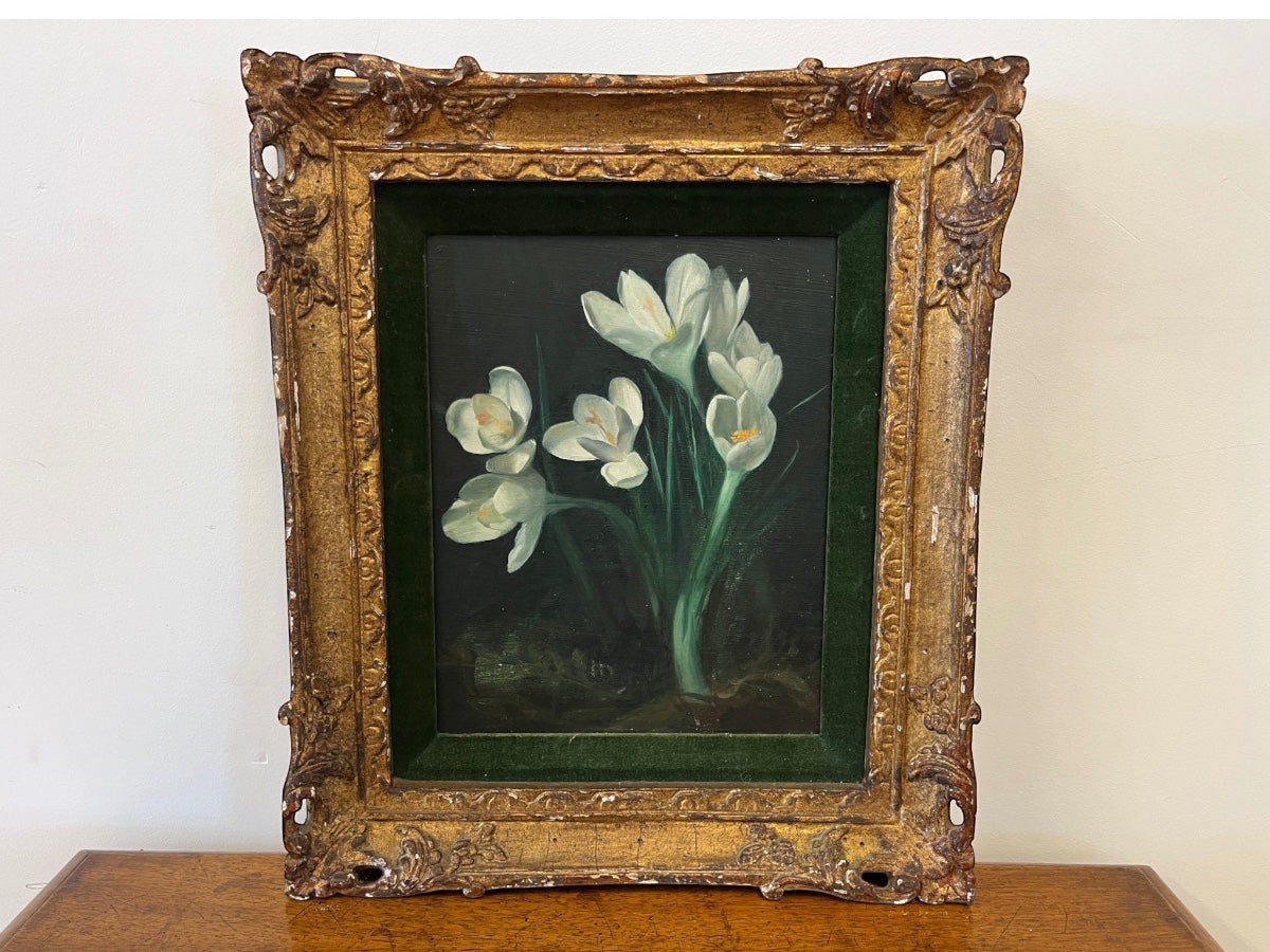 Beautifully Framed Still Life of White Crocus
