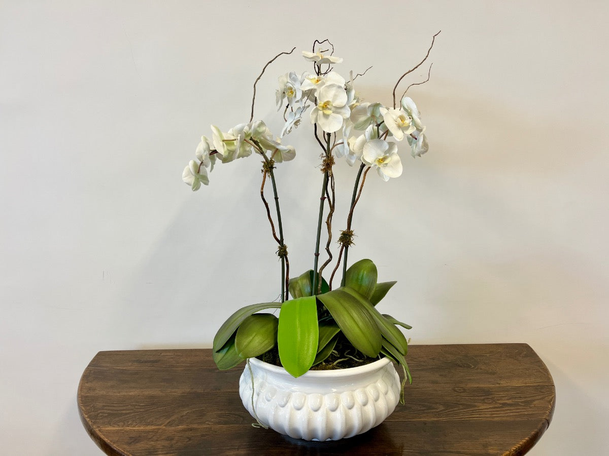 Faux Phalaenopsis Orchid