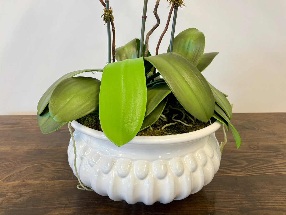 Faux Phalaenopsis Orchid