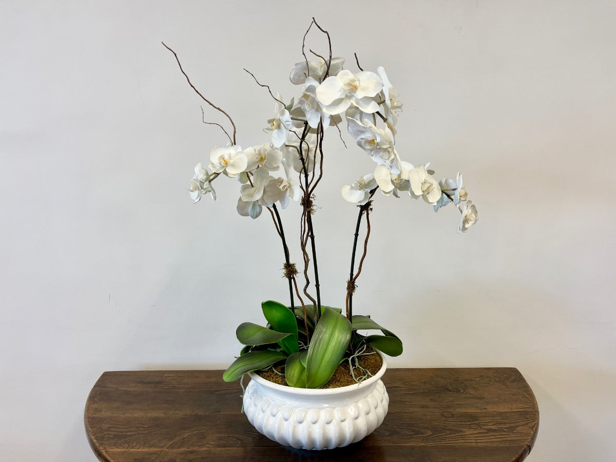 Faux Phalaenopsis Orchid