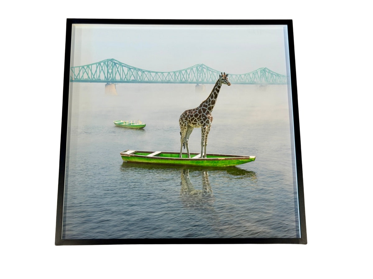 Giraffe on a Boat Photograph by Dariusz Klimczak