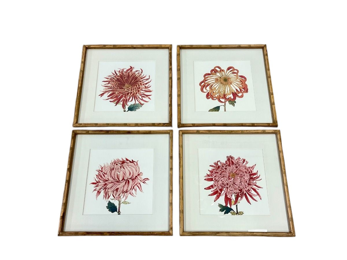 Chrysanthemum Prints, Set of 4