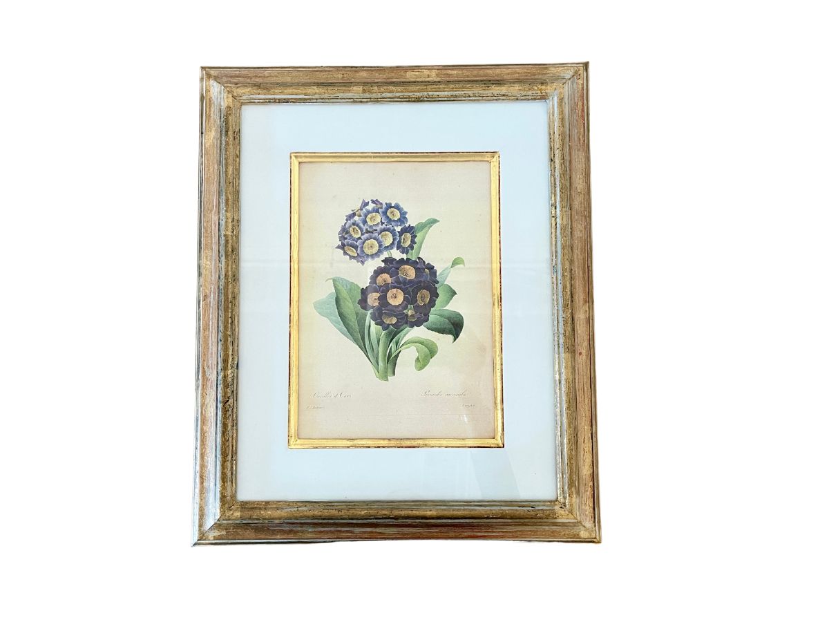 Trowbridge Gallery Framed Botanical Print after Pierre Joseph Redoute