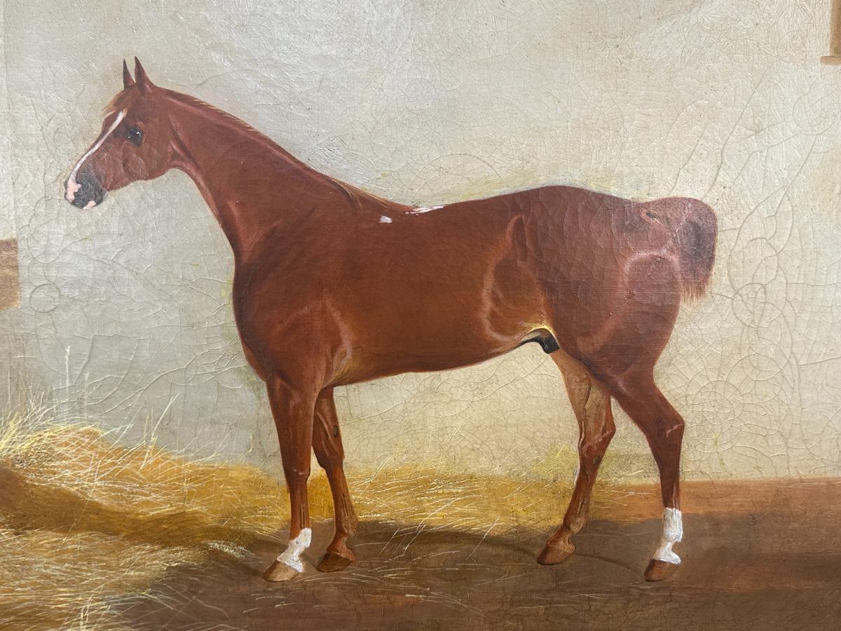 Portrait of a Horse in Stable, Oil on Canvas