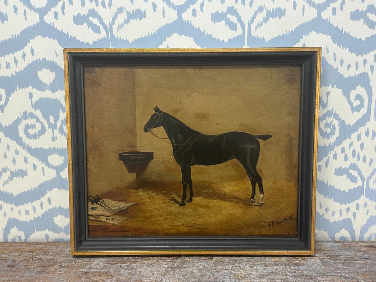 Portrait of a Horse in Stable, Oil on Canvas, Signed Lower Right
