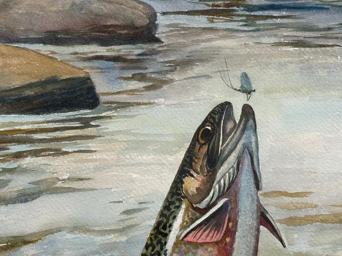 Framed "Brook Trout" Original Watercolor by WJ Schaldach