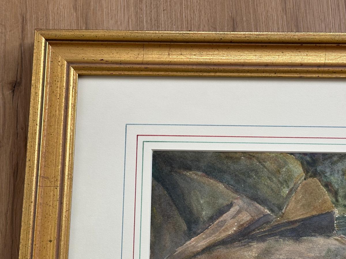 Framed "Brook Trout" Original Watercolor by WJ Schaldach