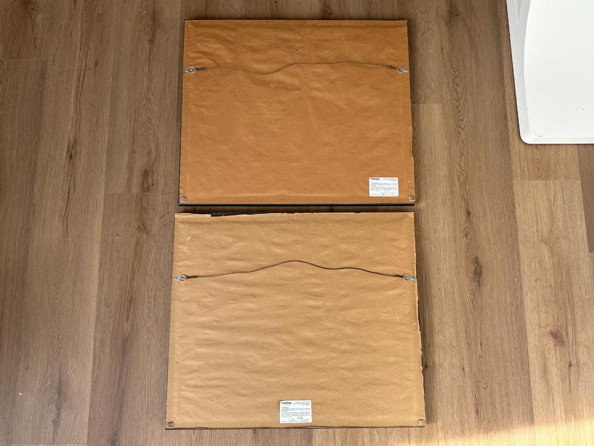 Framed Thomas Baines Lithographs, Pair