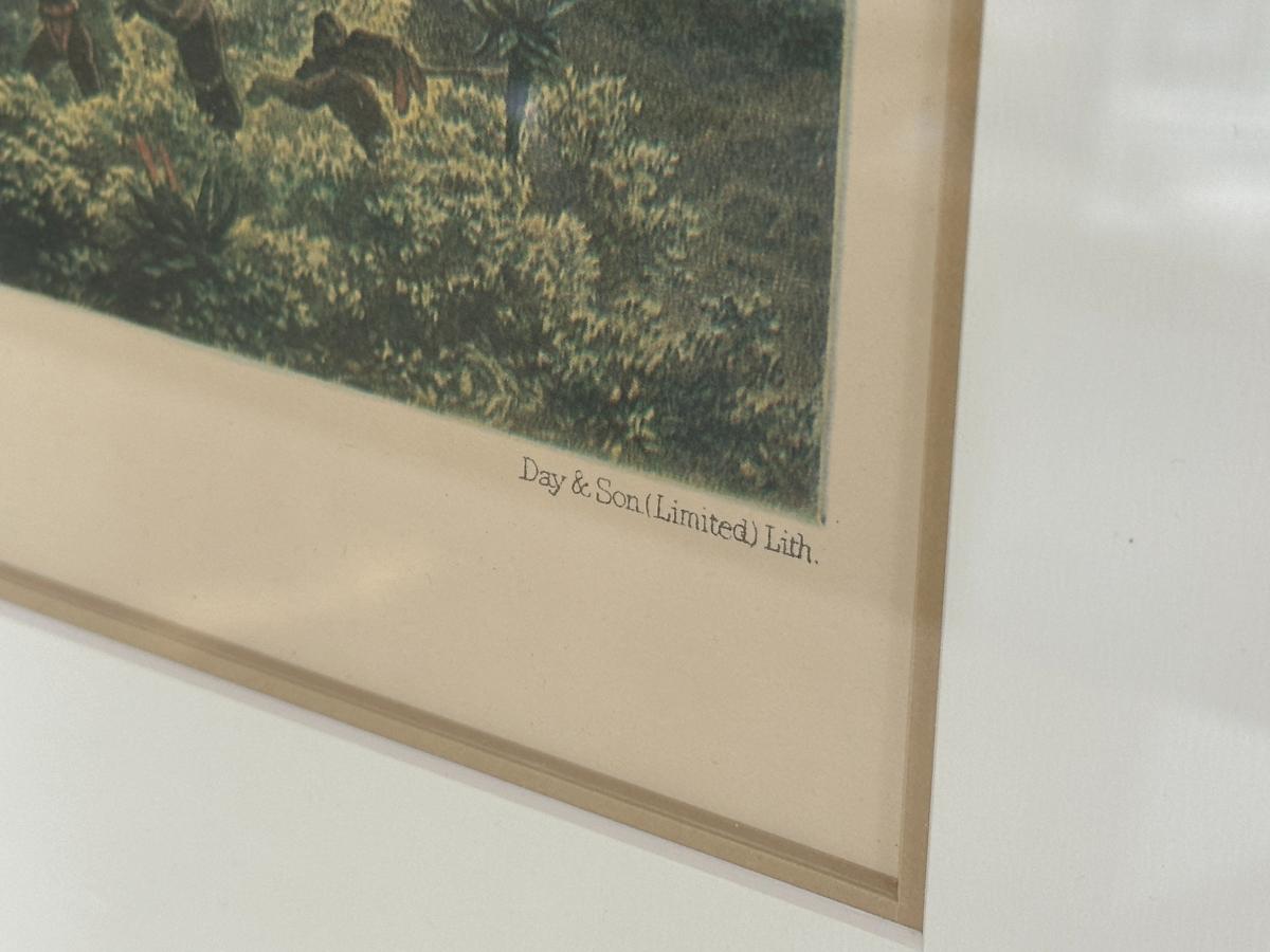 Framed Thomas Baines Lithographs, Pair