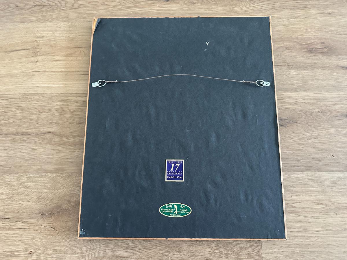 New Yorker April 18th, 1970 Art Print by Charles Saxon, Framed