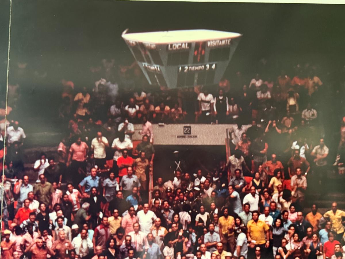 Custom Muhammad Ali vs. Cleveland Williams (Aerial) by Neil Leifer
