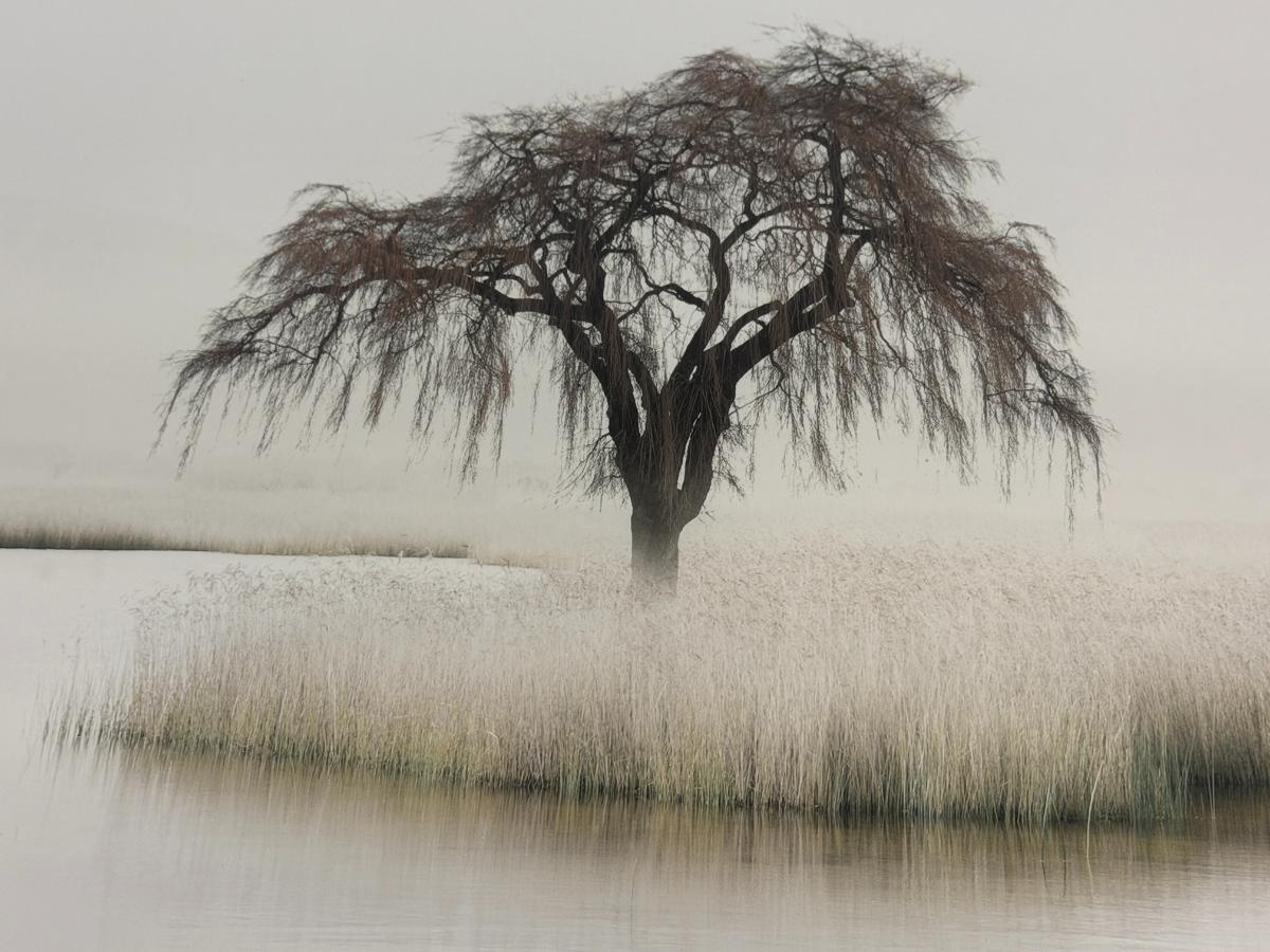 Framed “Naeva” Print by Photographer Petros Koublis