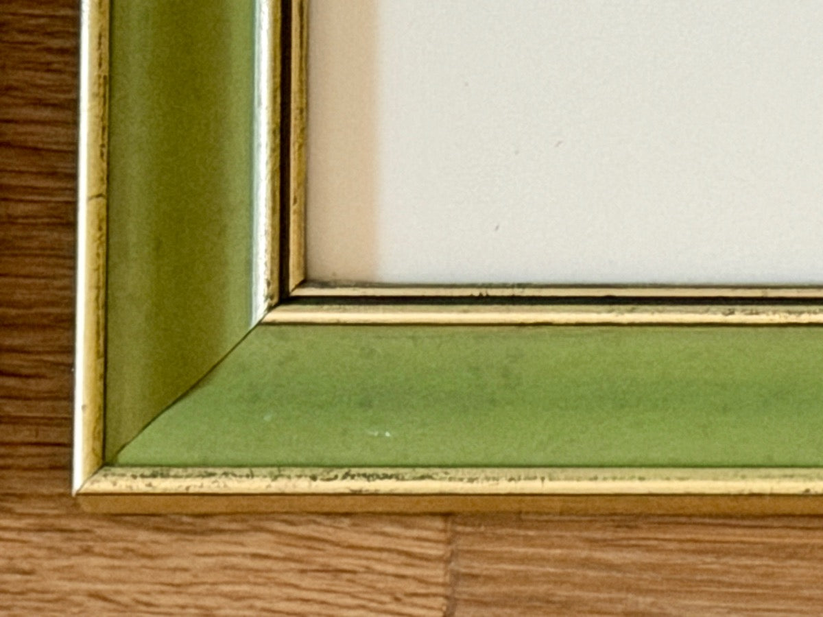 Antique David Wooster Hand Colored Lithographs, Alpine Flowers, Set of 3