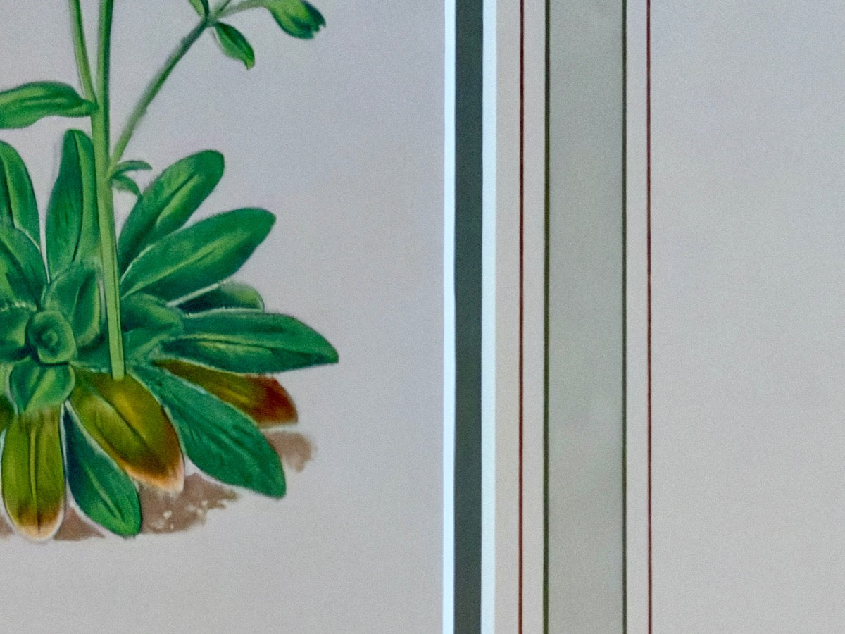 Antique David Wooster Hand Colored Lithographs, Alpine Flowers, Set of 3