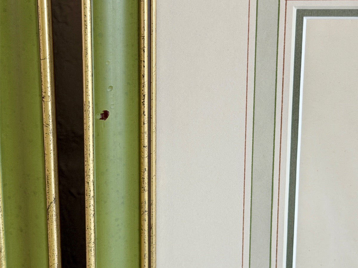 Antique David Wooster Hand Colored Lithographs, Alpine Flowers, Set of 3