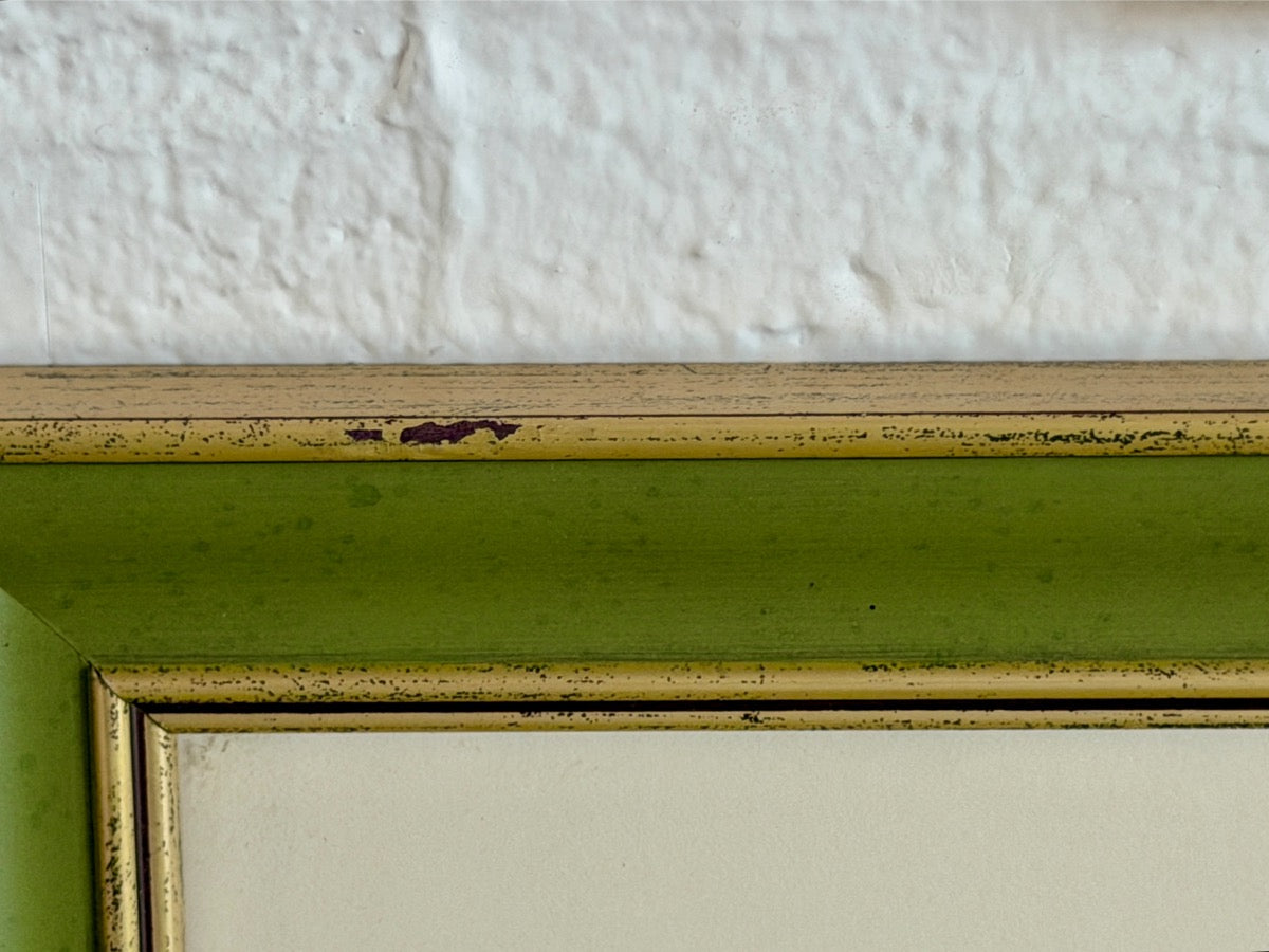 Antique David Wooster Hand Colored Lithographs, Alpine Flowers, Set of 3