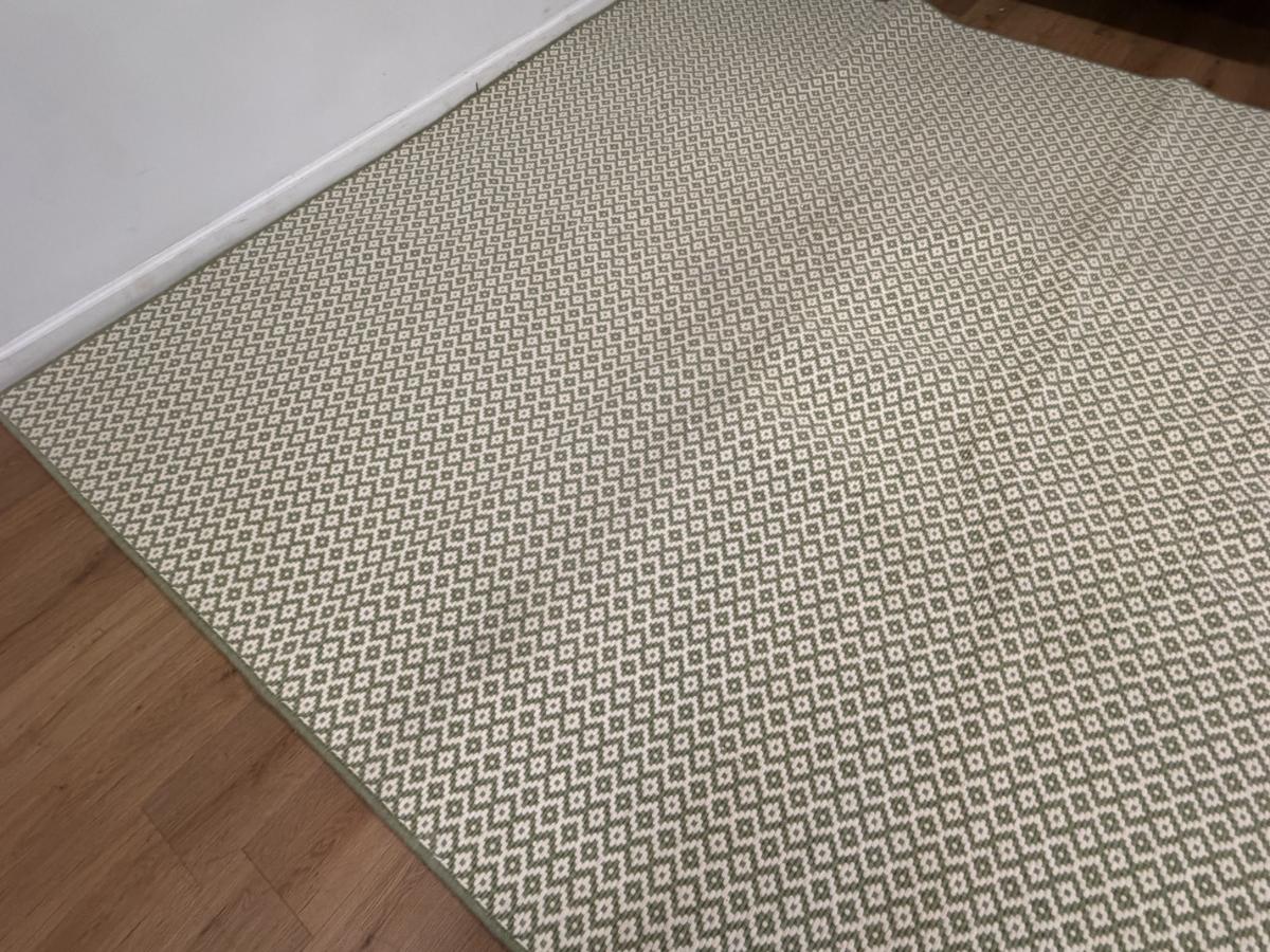 9′5 x 11 Green & White Wool Rug