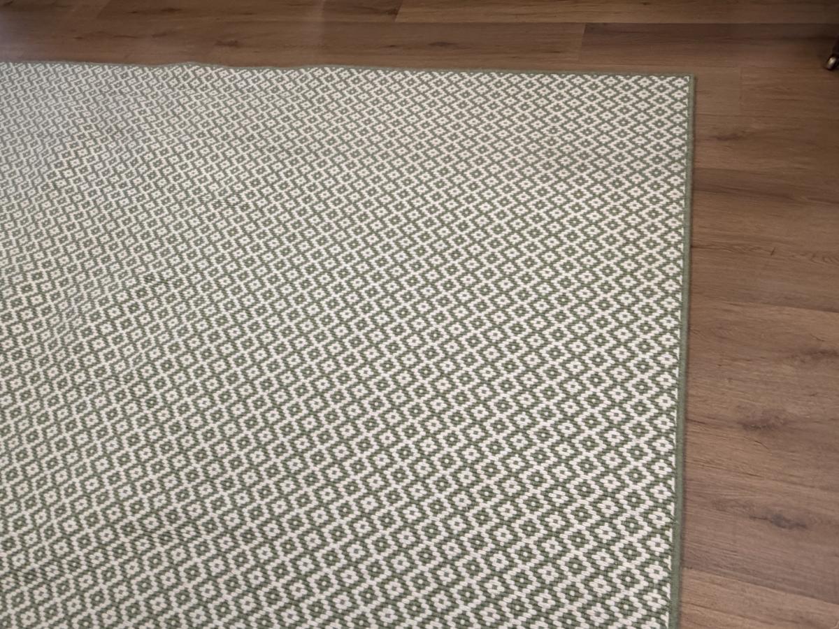 9′5 x 11 Green & White Wool Rug
