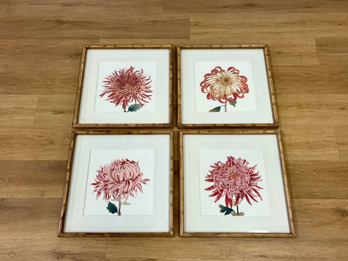 Chrysanthemum Prints, Set of 4