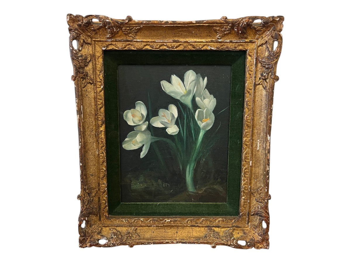Beautifully Framed Still Life of White Crocus
