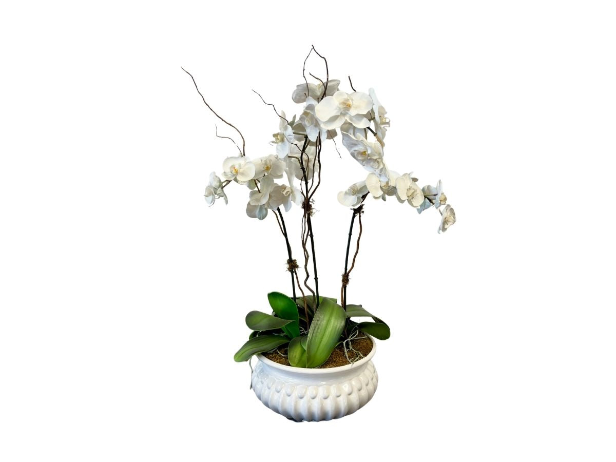 Faux Phalaenopsis Orchid