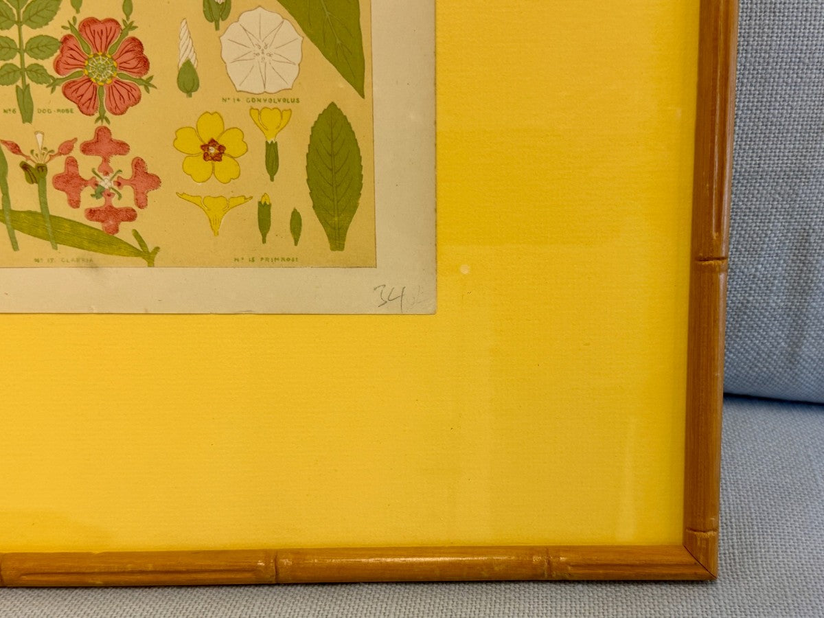 Christopher Dresser Bookplate from The Grammar of Ornaments in Vintage Bamboo Frame