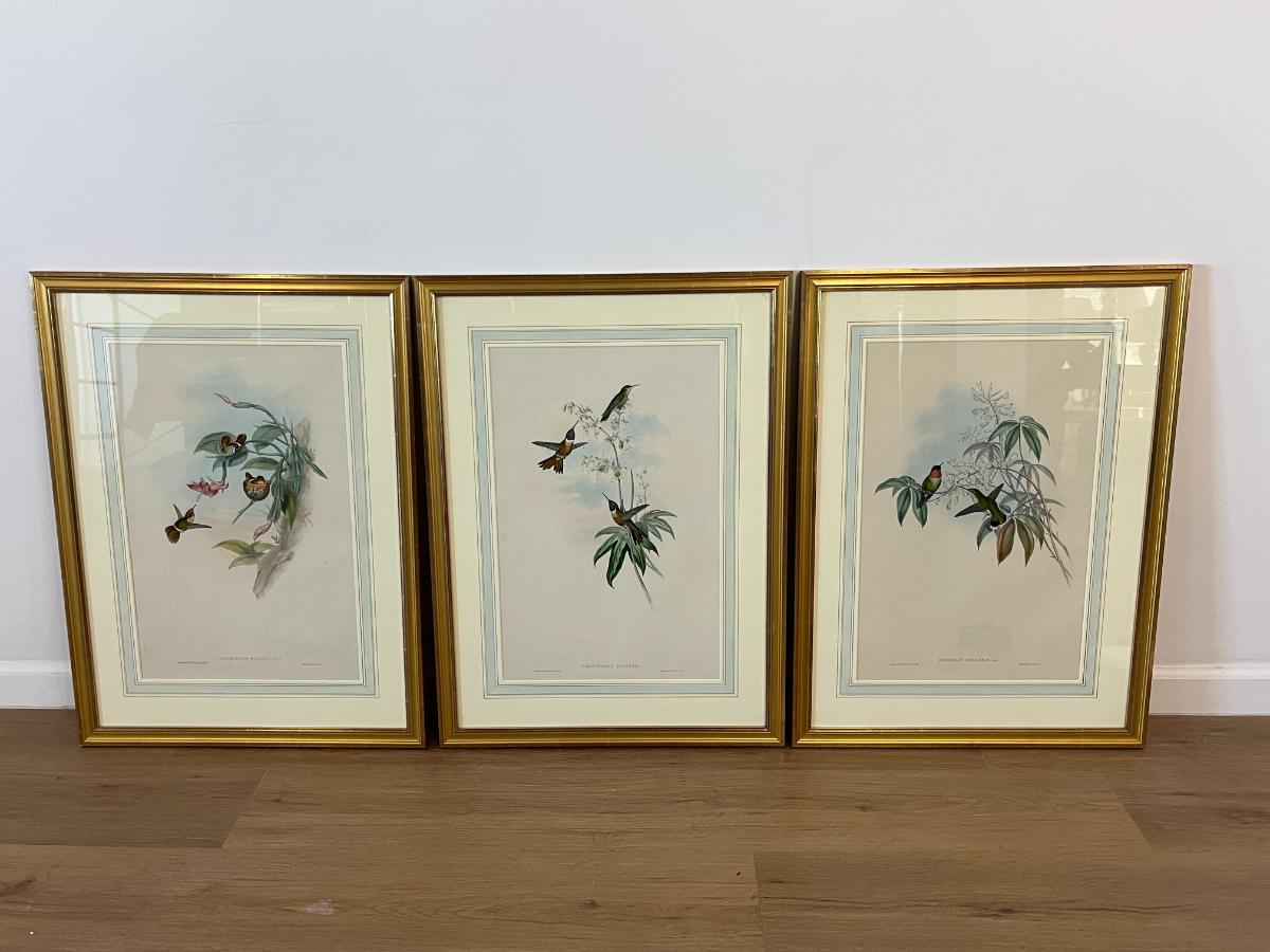 19th Century John Gould & H.C. Richter Hand-Colored Bird Lithographs, Framed, Set of 3