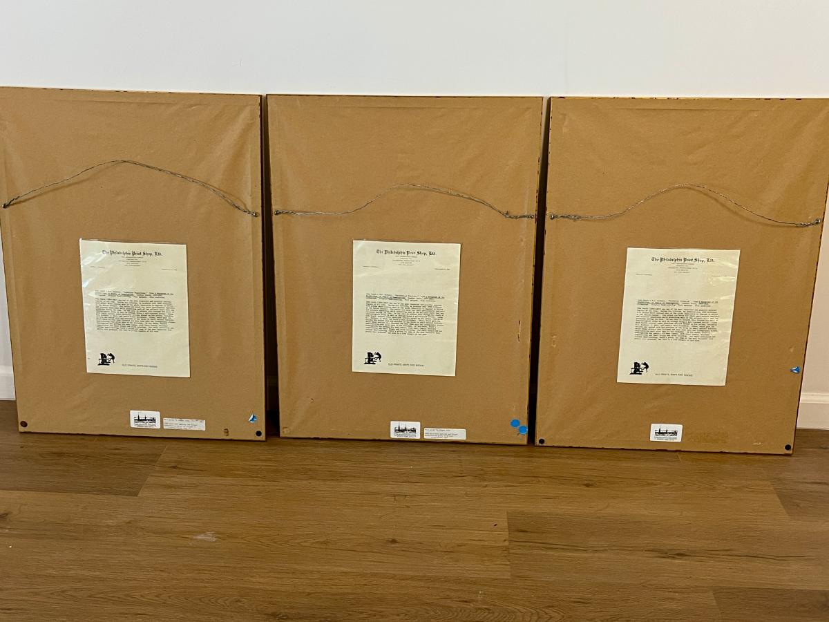 19th Century John Gould & H.C. Richter Hand-Colored Bird Lithographs, Framed, Set of 3