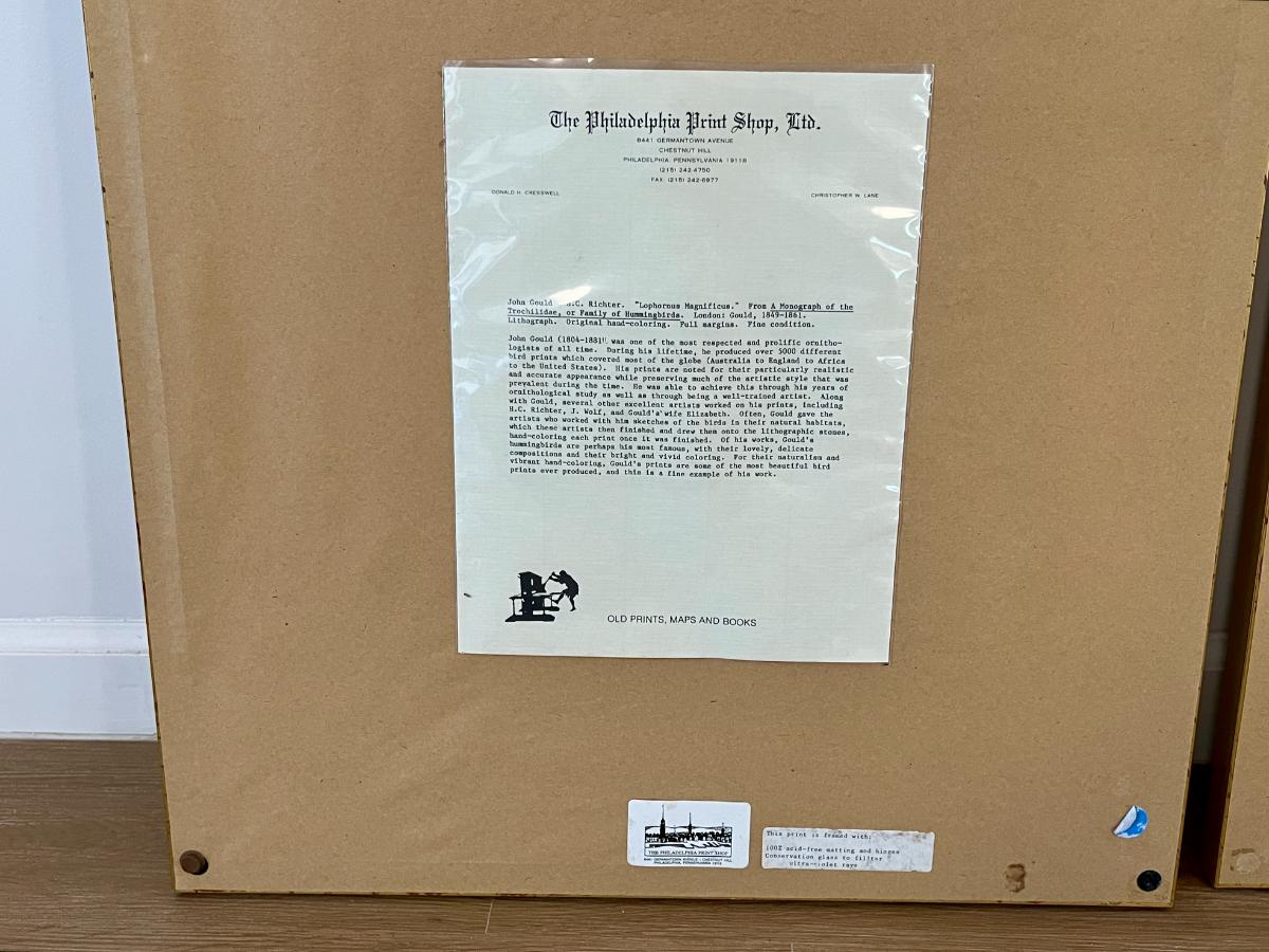 19th Century John Gould & H.C. Richter Hand-Colored Bird Lithographs, Framed, Set of 3