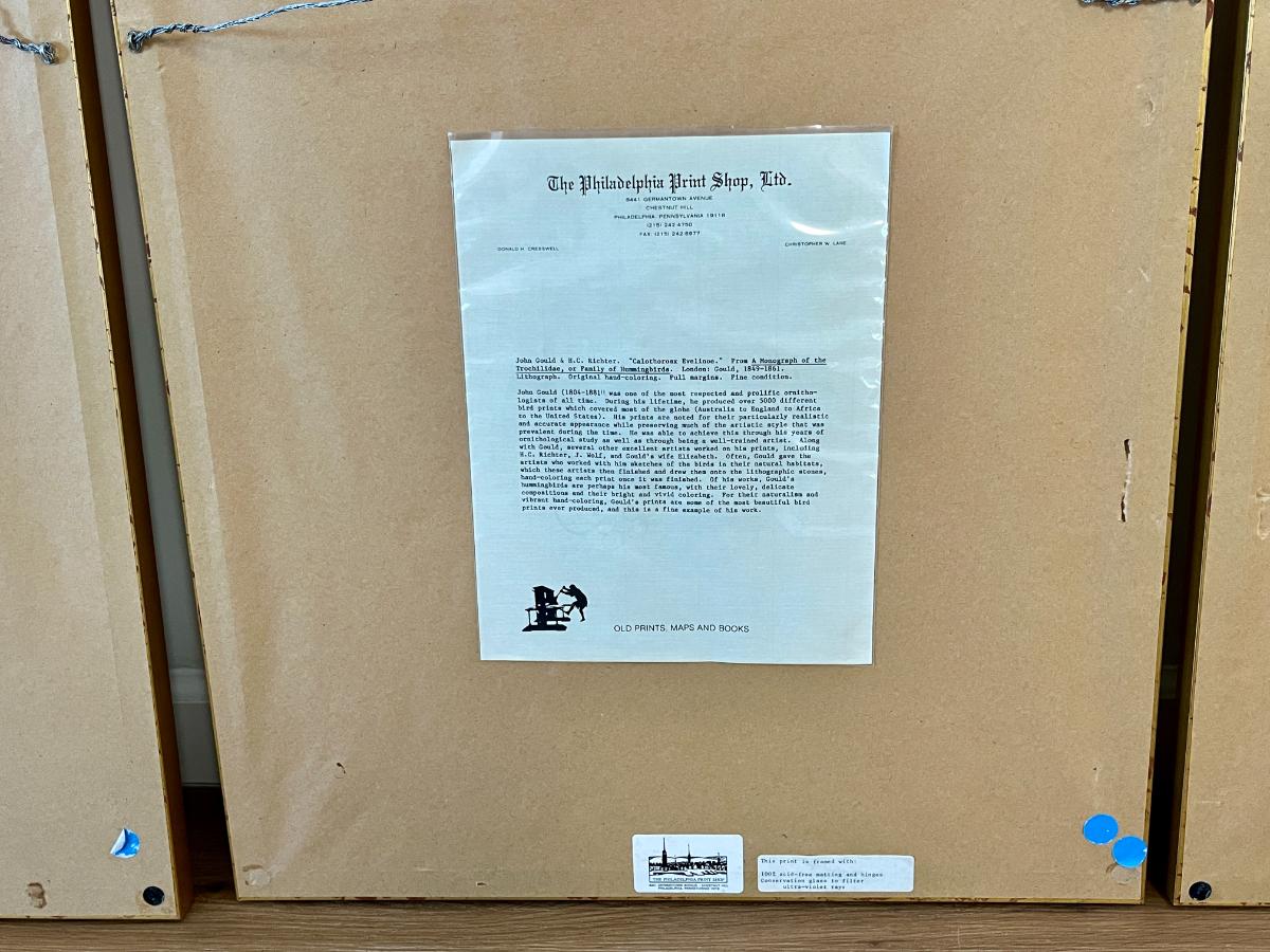 19th Century John Gould & H.C. Richter Hand-Colored Bird Lithographs, Framed, Set of 3