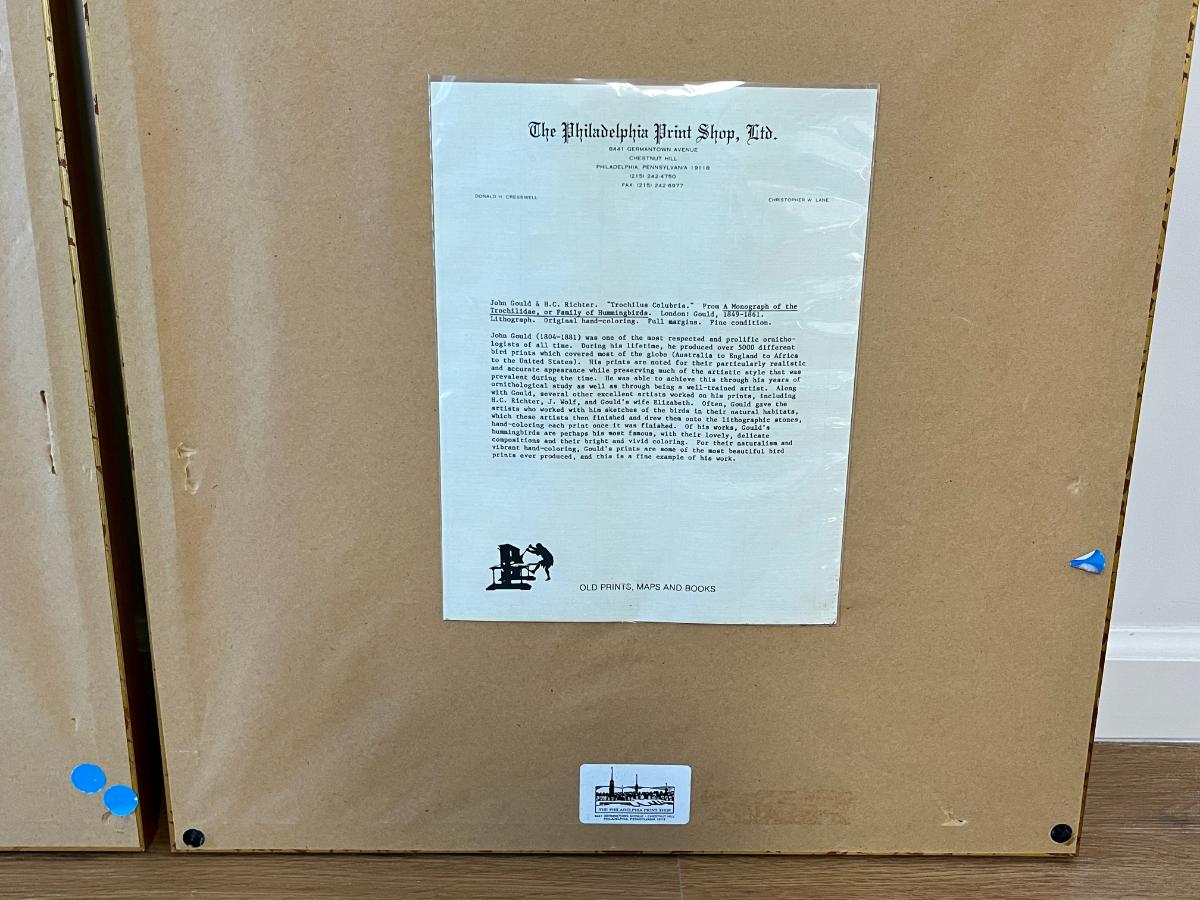 19th Century John Gould & H.C. Richter Hand-Colored Bird Lithographs, Framed, Set of 3