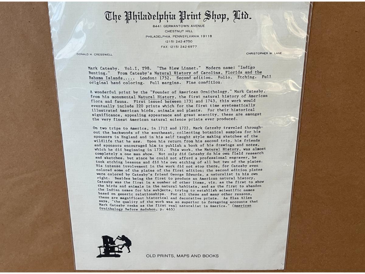 Mark Catesby Hand-Colored Lithograph, The Blue Linnet