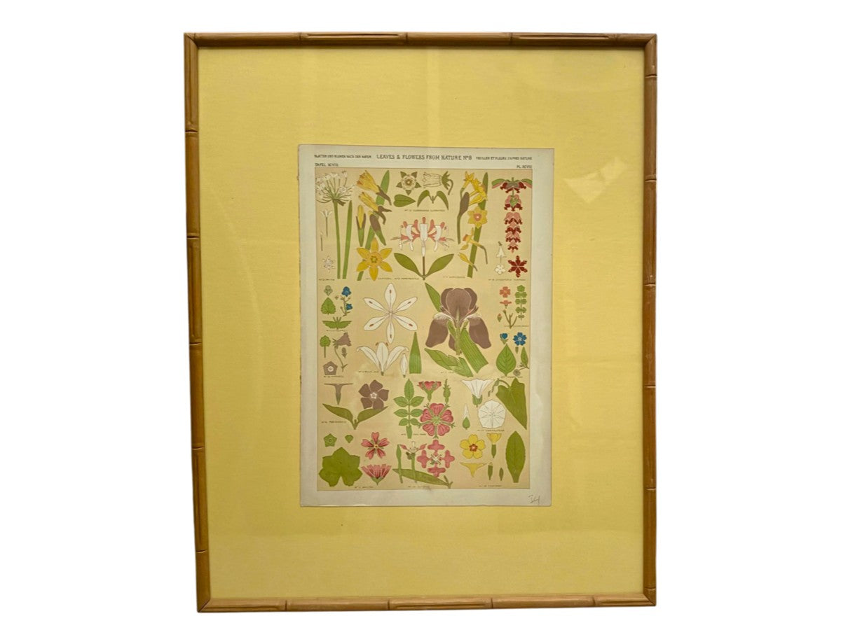 Christopher Dresser Bookplate from The Grammar of Ornaments in Vintage Bamboo Frame