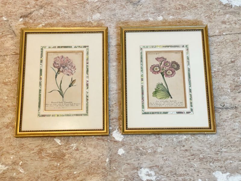 Hand Colored Botanicals, Pair - Town & Sea