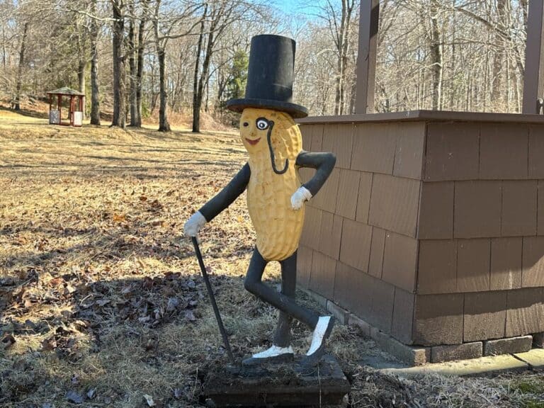The Cast Iron "Life Size" Mr. Peanut Statue, featuring arms, legs, a top hat, and a cane, stands in a grassy park area.