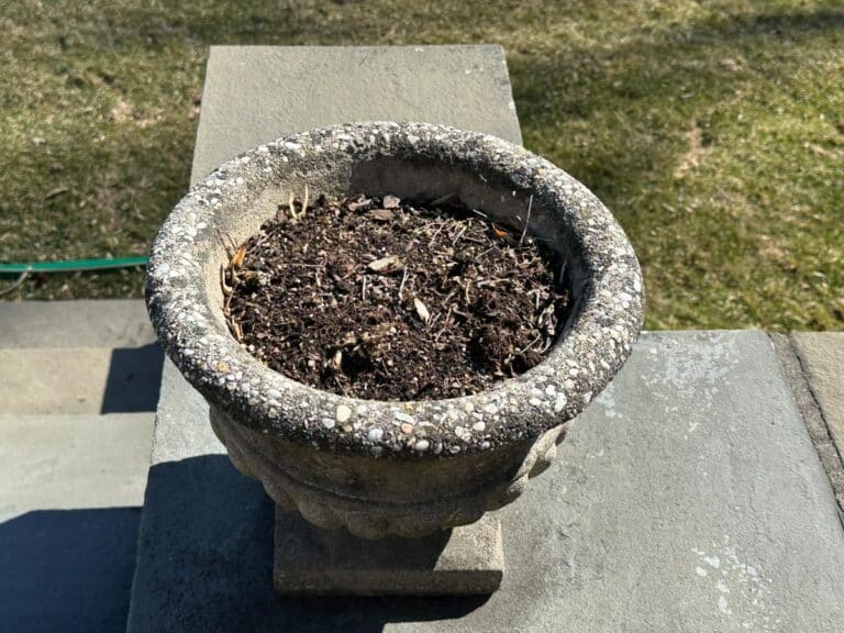 A pair of stone garden urns planters filled with soil sits on a concrete step, with grass in the background.