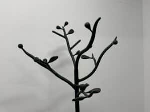A black metal sculpture of a tree branch with buds against a plain white wall.
