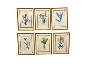 A set of six framed Pierre Joseph Redoute Botanical illustrations with gold borders.